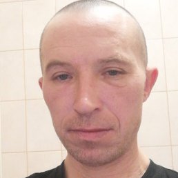 ����, ������, 41 ���