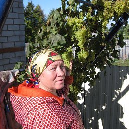 ���� �����, ������������, 62 ���� - ��������� 9 ������� 2022