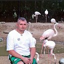 ���� �����, �����������, 48 ��� - ��������� 26 ������ 2023