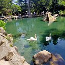 ���� ����������, �����-��������� - ��������� 27 ���� 2022 � ������ ������ ��������