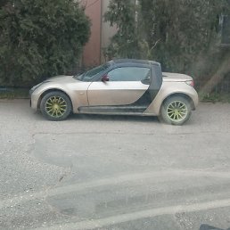 �����, ������, 37 ���