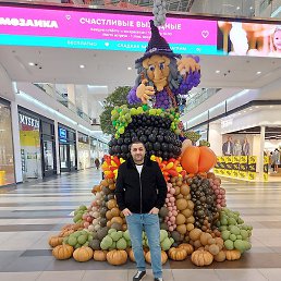 �����, ������, 44 ����