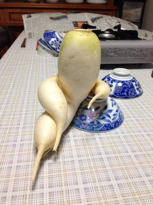   :     -,   ...