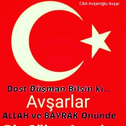  , , 24  -  12  2023