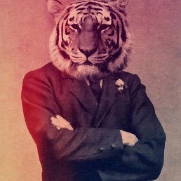 �����, ������������, 39 ���