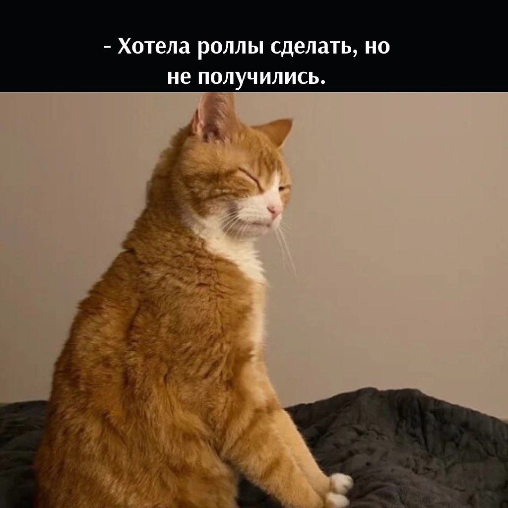       - 4  2022  20:03 - 4
