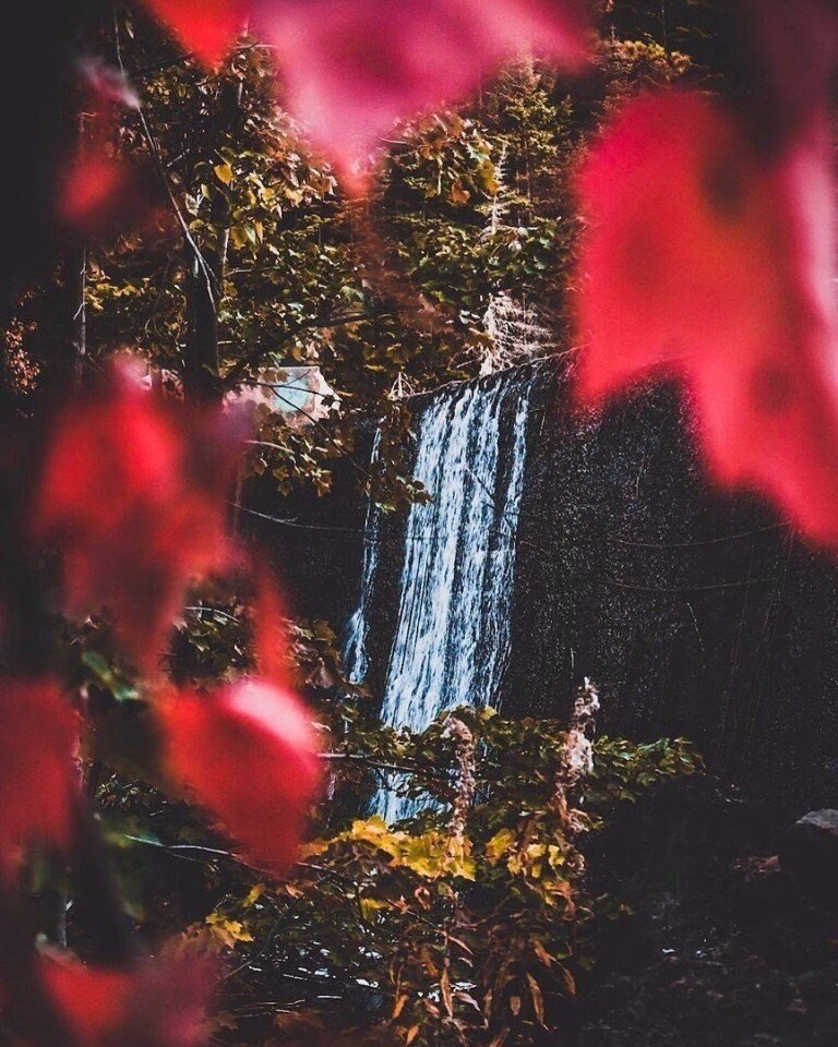           - 6