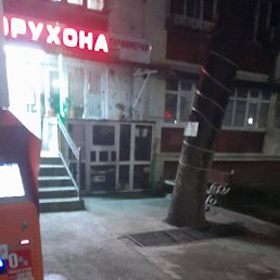 ���� ����, ������, 36 ��� - ��������� 17 ������� 2023