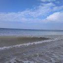 ���� ��������, ����������� - ��������� 12 ������� 2022 � ������ ���� ����������