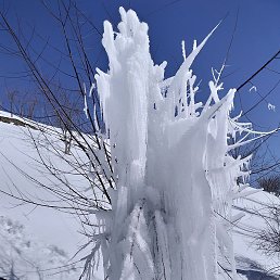 ���, ���������, 32 ����