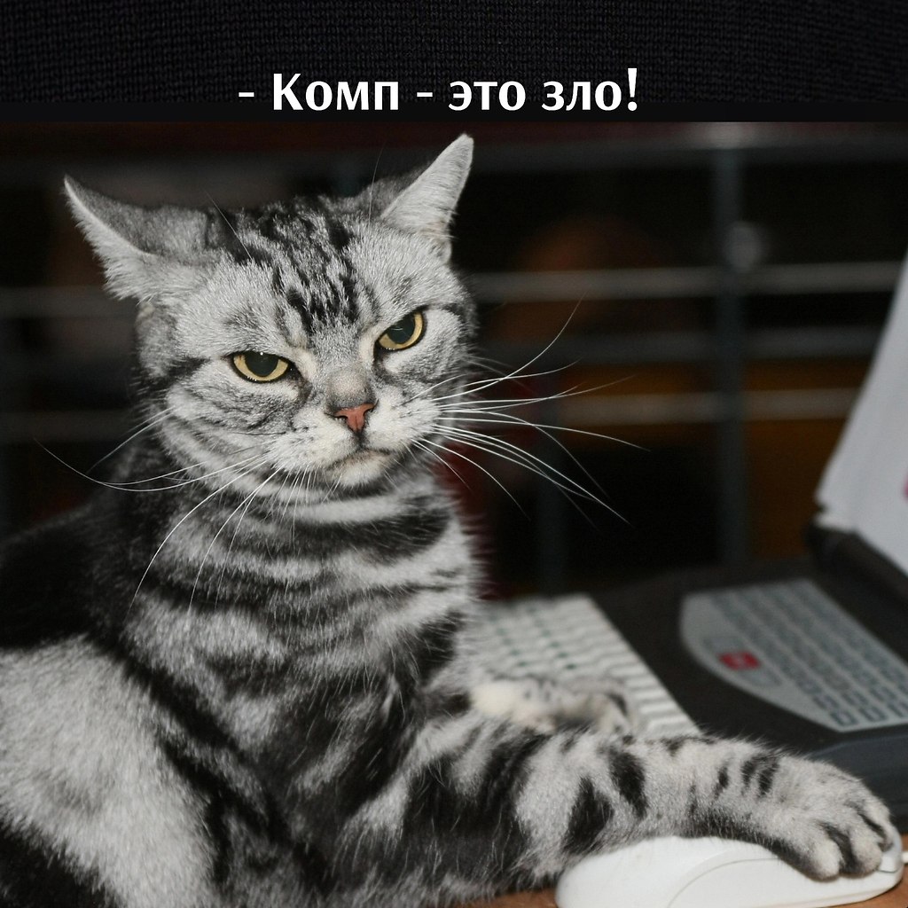       - 16  2023  15:13