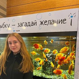 ���� �������, ������, 54 ���� - ��������� 10 ������� 2023