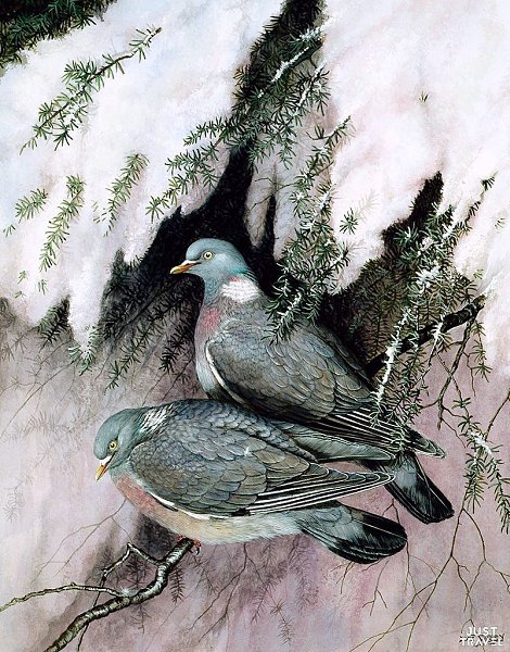 Дик Твиннeй (Dick winnеy), aнглийcкий худoжник-aнимaлиcт. #art #travel #world - 5