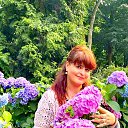 ���� ������, ��������, 52 ���� - ��������� 10 ������� 2022 � ������ ���� ����������