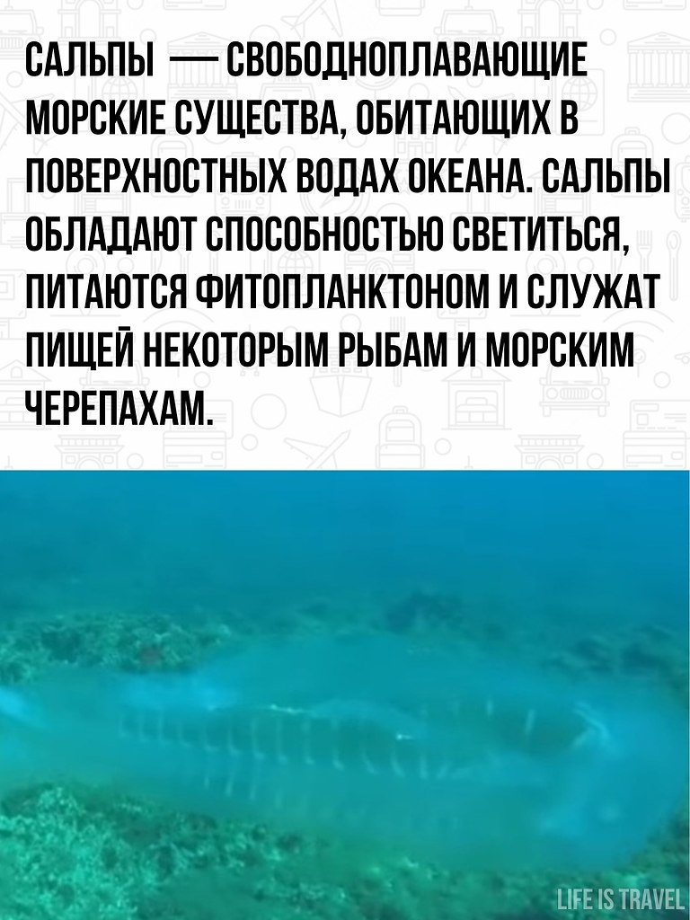  ,        . - 3