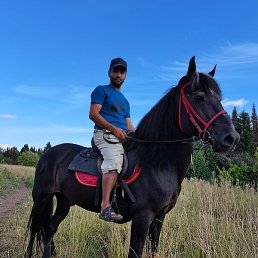 ����, ������������, 31 ���