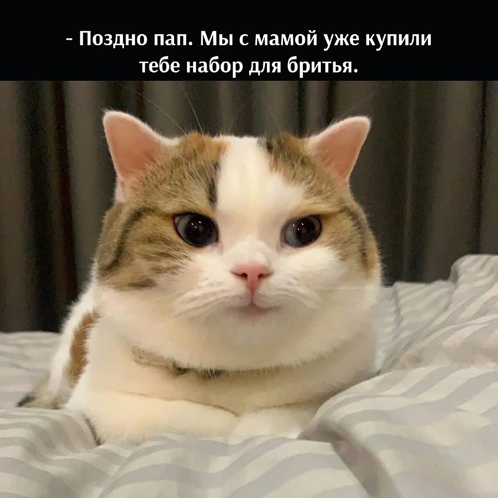       - 25  2022  17:06 - 3