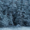  Rusl,  -  12  2022    