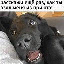 ���� ����, �������, 64 ���� - ��������� 10 ��� 2022 � ������ �������-������