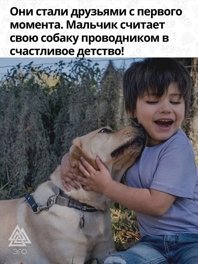      ,         ... - 3
