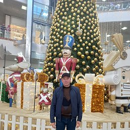 ����, �����, 39 ���