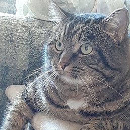 ���� �������, ���������, 49 ��� - ��������� 28 ������� 2022