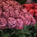 ���� ��������, ���� - ��������� 30 ������ 2023 � ������ ���� ����������