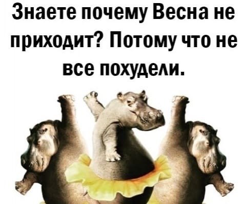ya, o a e  oo e p