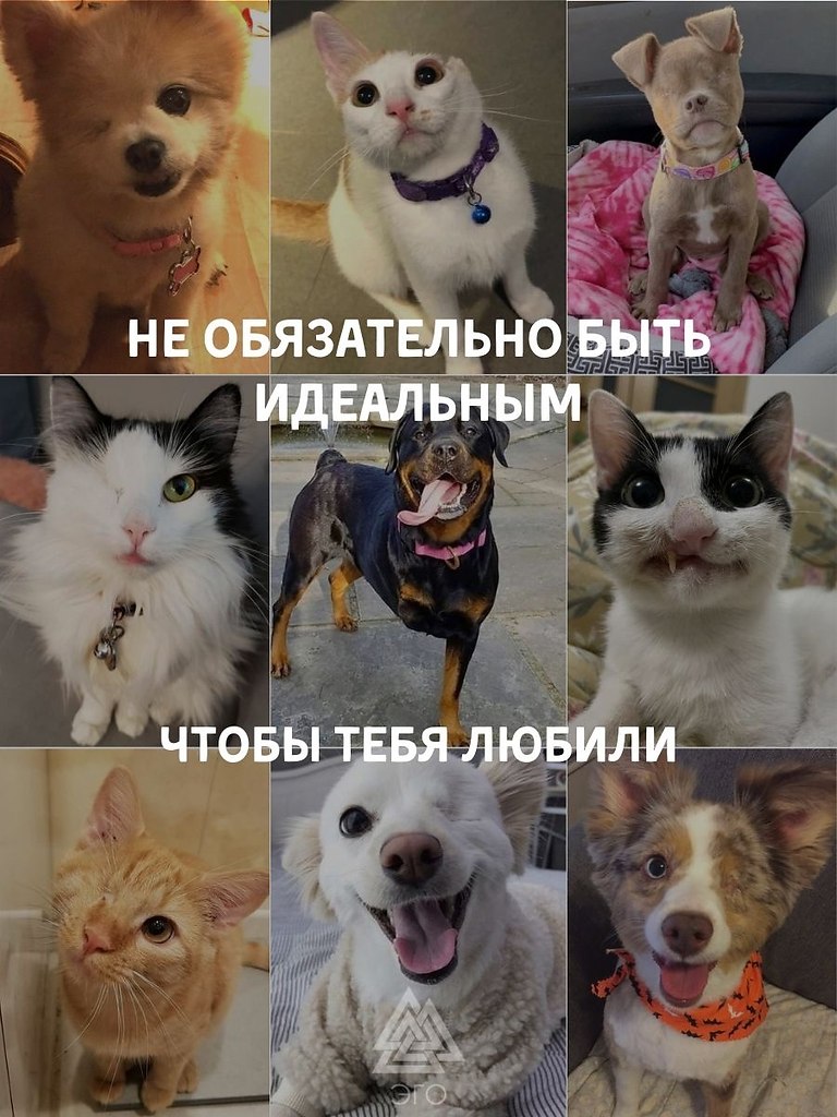   ,    -