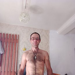 �����, ������, 41 ���