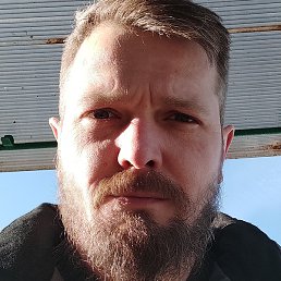 ����, ������, 41 ���