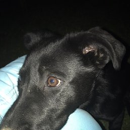 ���� ����, ������, 38 ��� - ��������� 17 ���� 2022