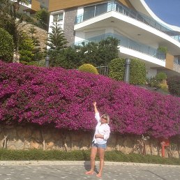 �������, �������, 61 ���