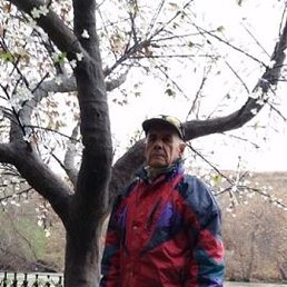 ������, �������, 84 ����