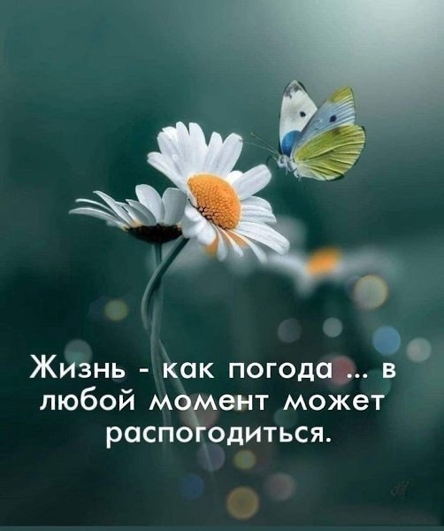  - 3  2022  21:38