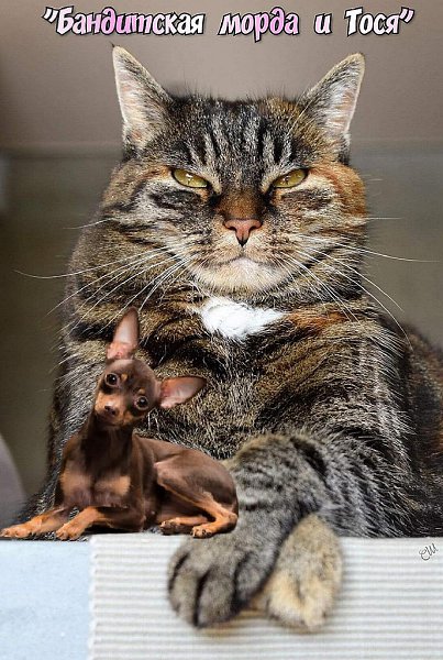   , ,  .  , ?  .   ,   ...