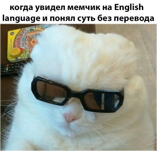    - 27  2022  16:42