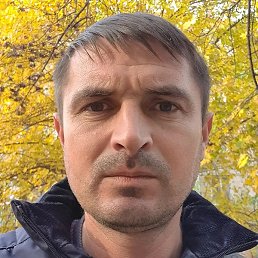 �������, �������, 38 ���