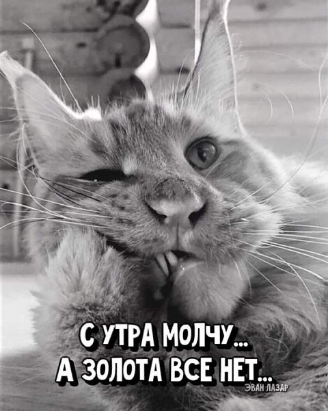   - 6  2022  08:09