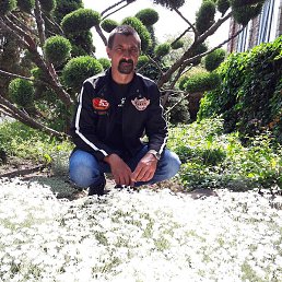 �����, ���������, 48 ���