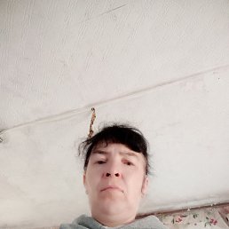  , , 52  -  19  2022