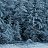  Rusl,  -  12  2022