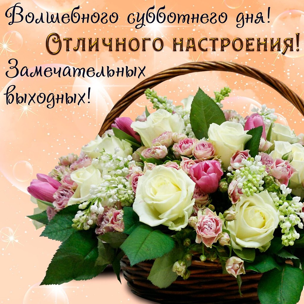 ��� ���� - 11 ������� 2023 � 04:25