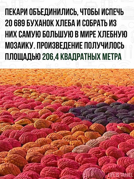 Рекорд был записан на 2 ноября. Как раз в этот день проходил праздник День мертвых в Мексике. - 2