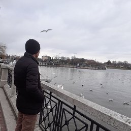 , , 28 