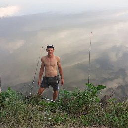, , 29 