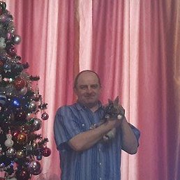 �����, �����������, 49 ���