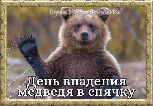   ,    . - 16  2022  21:53 - 4