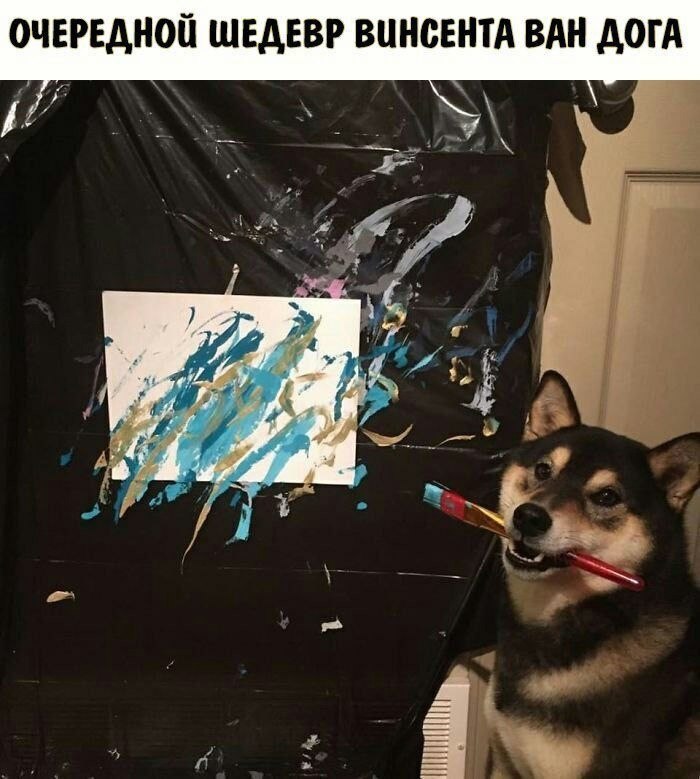    - 10  2022  00:15