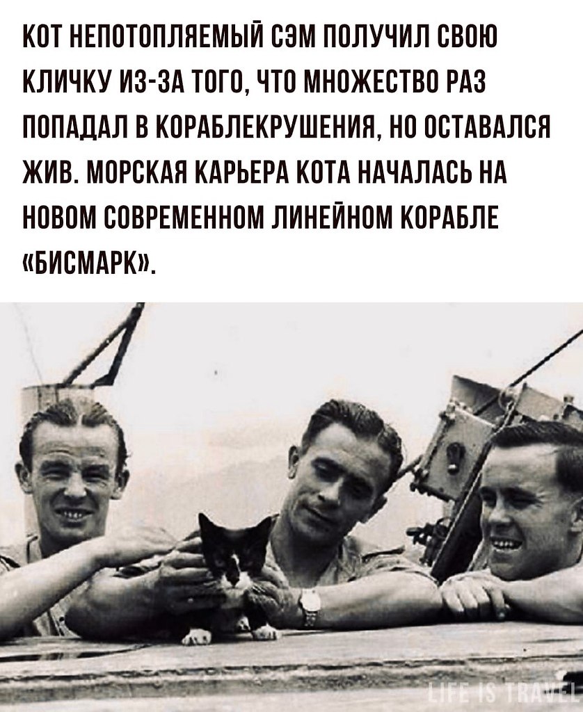 LIFE -  - 29  2022  07:54 - 2